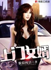 起点飞卢小说排名,起点飞卢