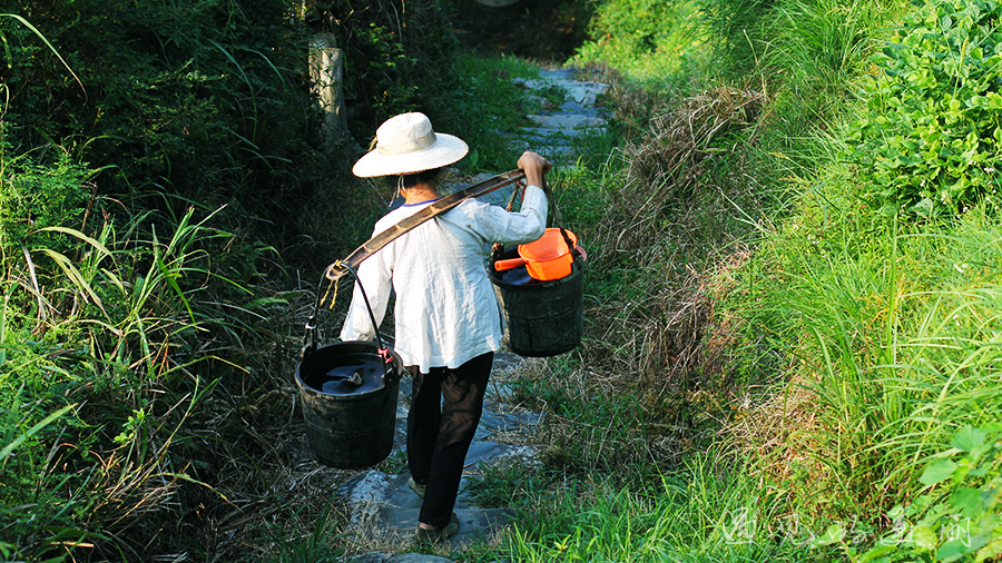 龙脊梯田风景区被破坏过吗,桂林龙脊梯田最全攻略