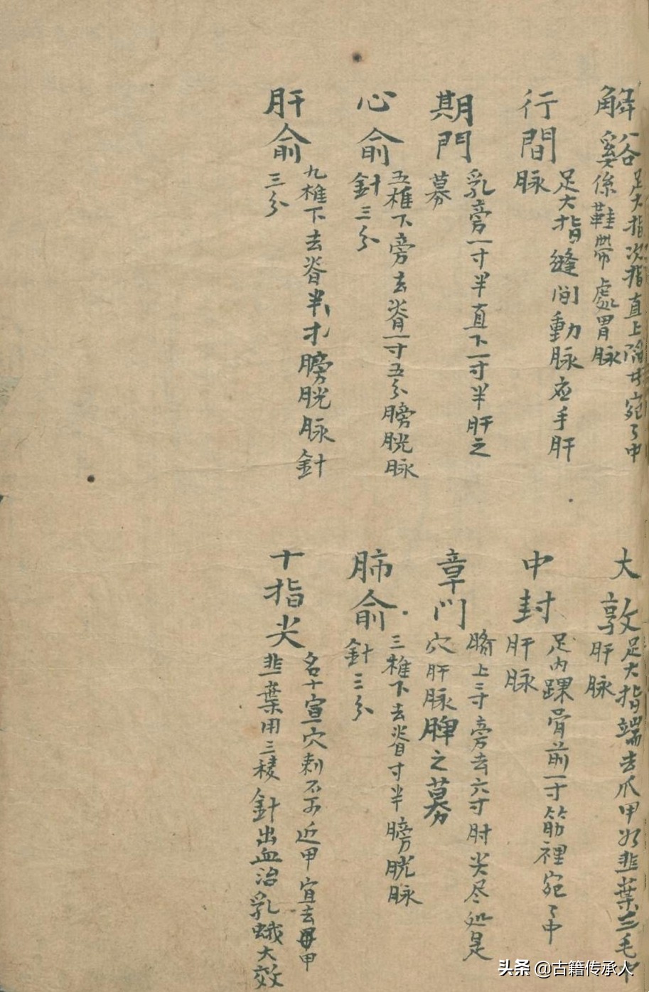 中医针刺放血疗法书,中医古籍阴阳针