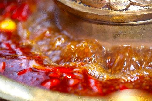 把菜园搬到餐厅,把菜园搬到家门口