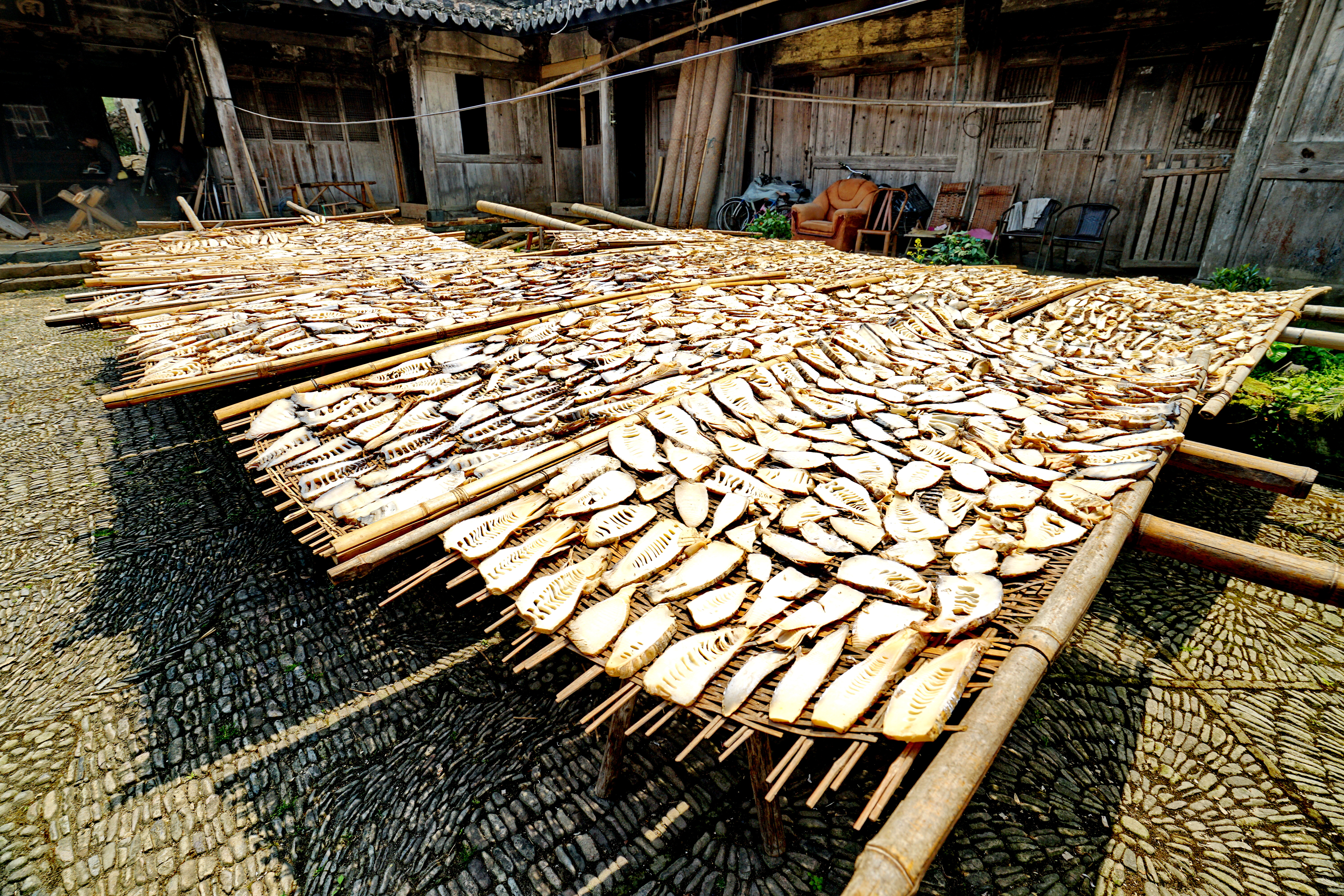 泰顺古建筑古村,泰顺古建园林