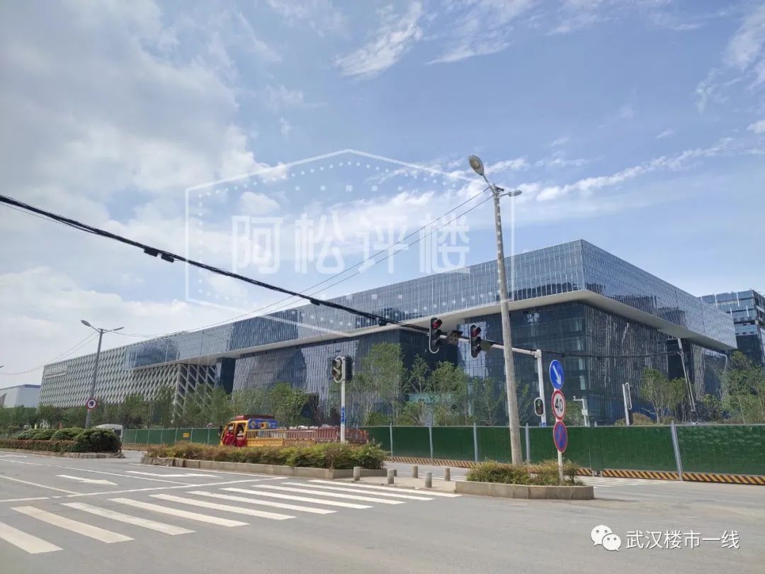 开挂了！比肩世界的爆款区域利好多到数不清！一般人已高攀不起