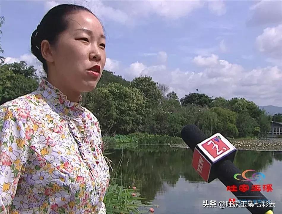 迷人!这里的“花中睡美人”盛开了