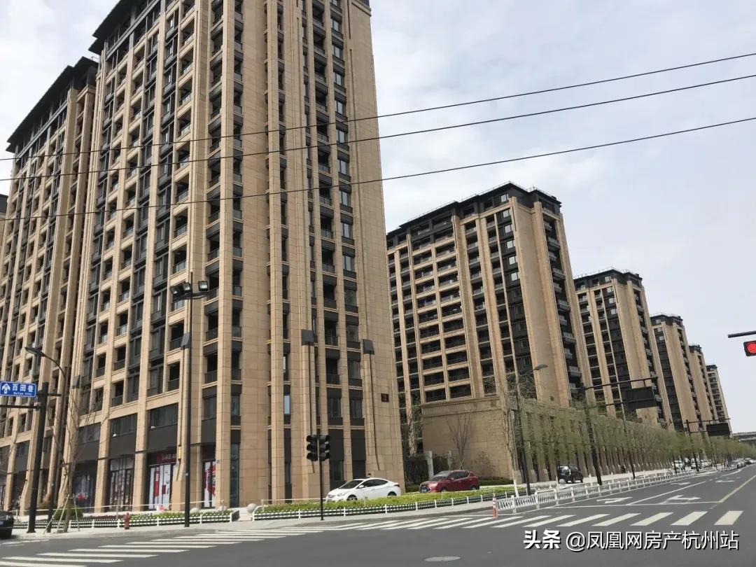 新天地业主的午后时光,新天地金色时光有活动吗