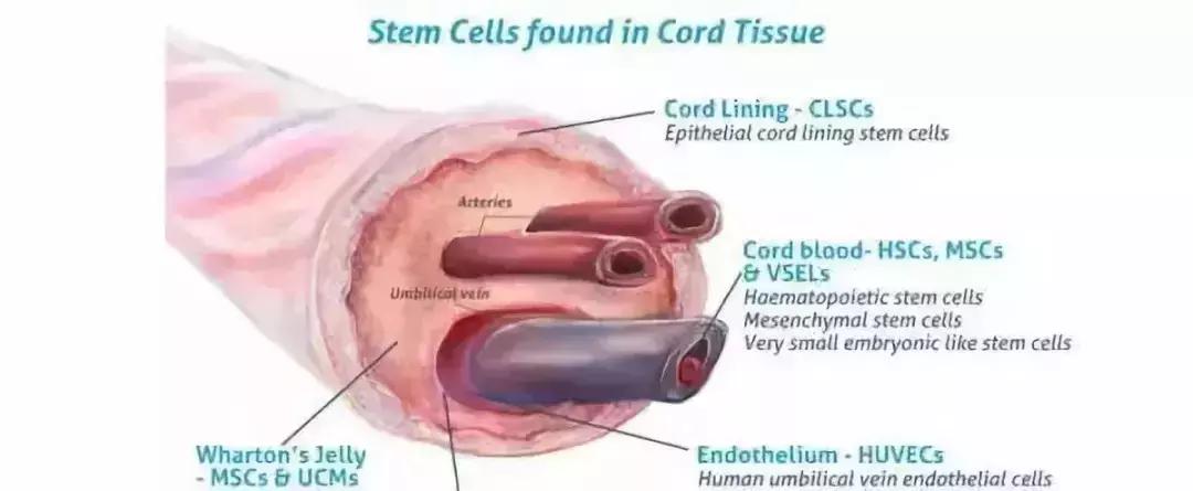 景甜倪妮同台2019年,景甜倪妮同台2019