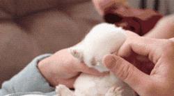 妹子,作为医生这么皮合适吗*------------------------*