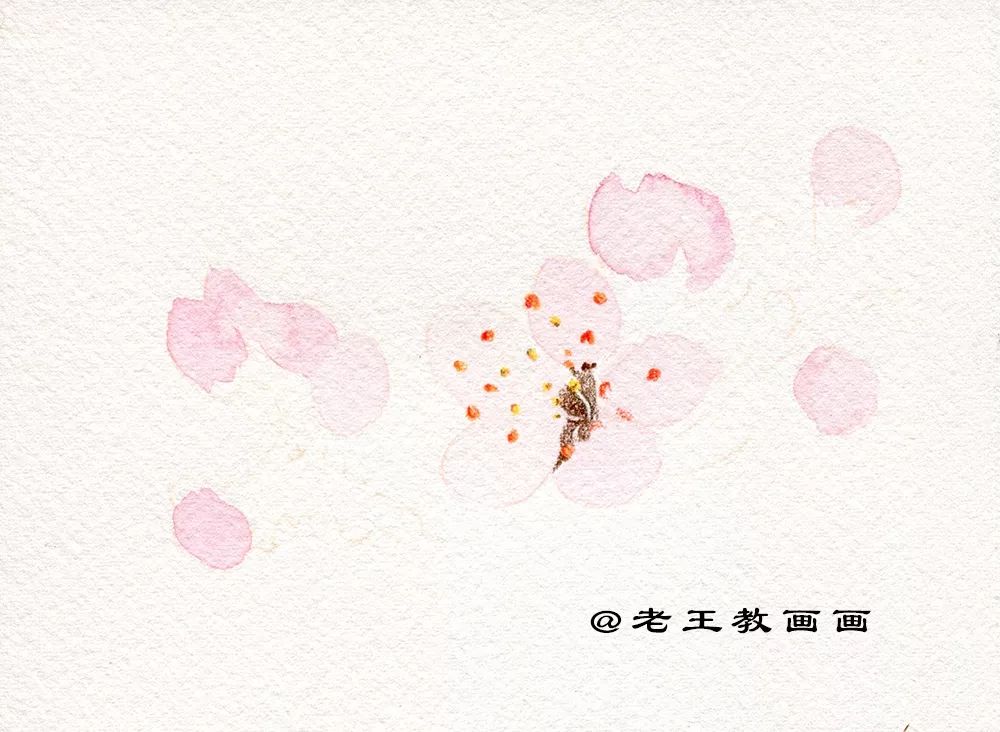 崔老师教你画桃花,你想画的花卉手稿都在这里