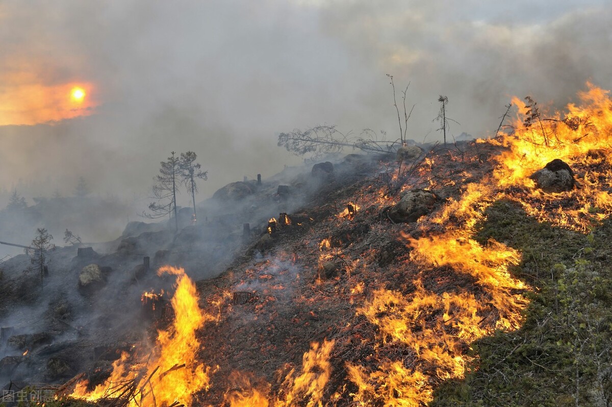 军机紧急起飞,军机驰援中国视频