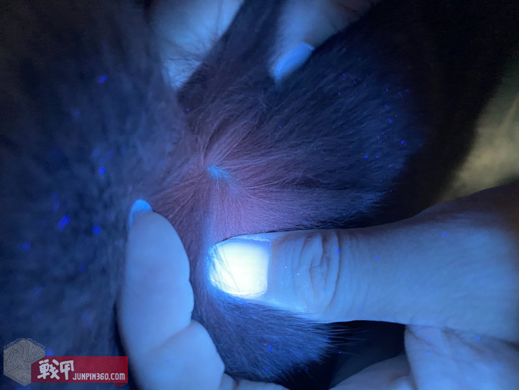 绾充附寰峰拰k3,绾充附寰穔3uv娴嬭瘎