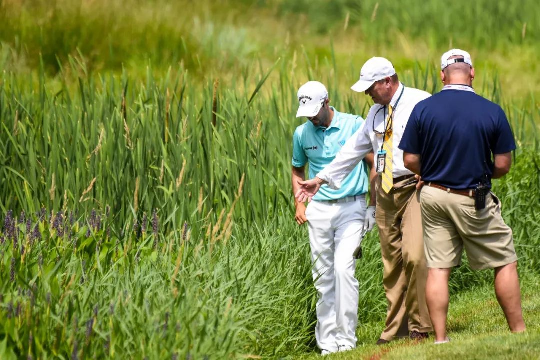 揭秘高尔夫内部,高尔夫最新政策