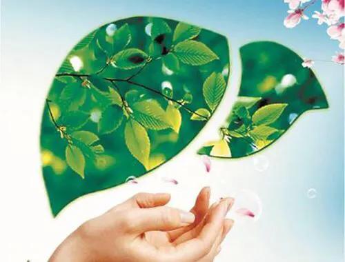 肝脏解毒还是肾脏解毒,肝脏解毒功能差需要注意哪些