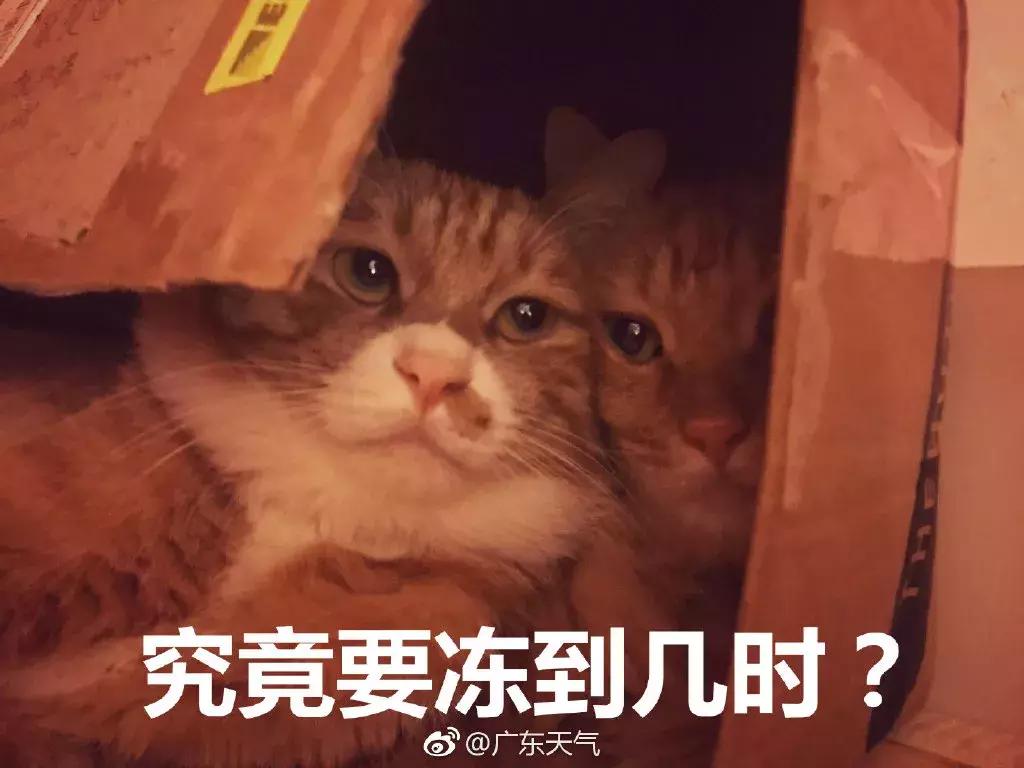 化州回南天还要多久,回南天来袭化州橘红收藏防潮攻略