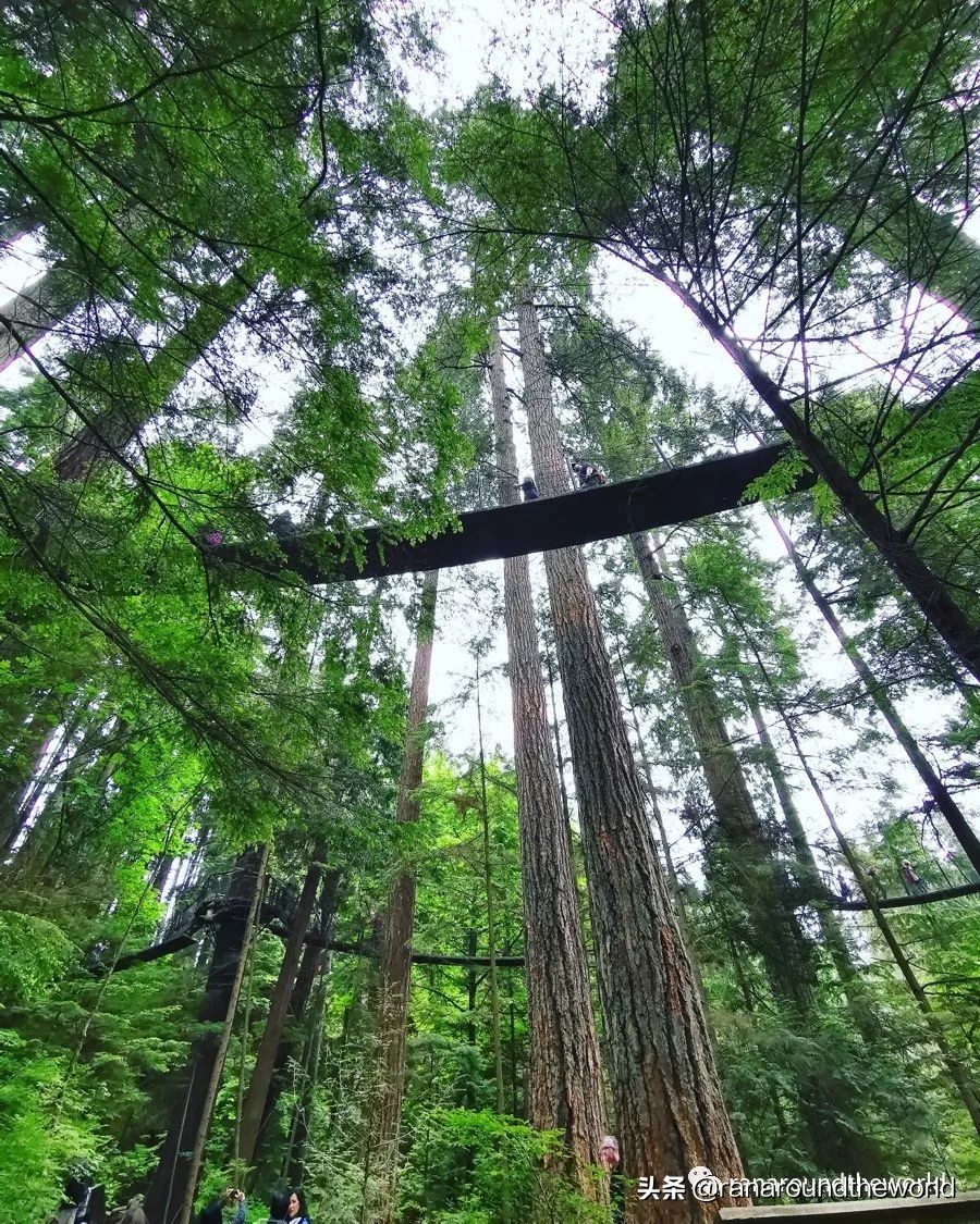 从温哥华自驾去班夫国家公园路线,温哥华到班夫国家公园沿途风景