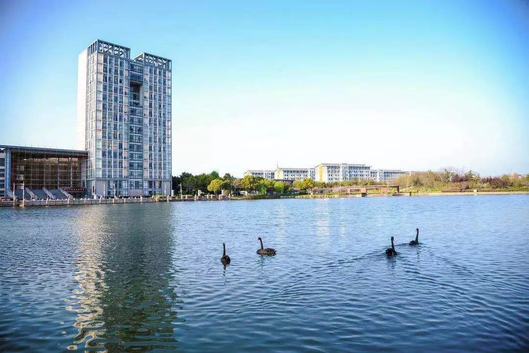 浙江十大顶级小学,浙江小学教育专业大学排名