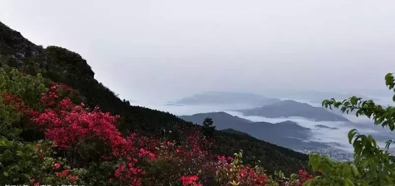 江西省有个莲花县,江西莲花县莲花镇