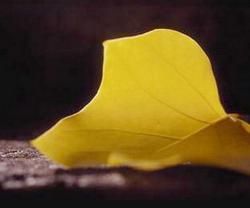 夜的钢琴曲纯音乐20首,夜的钢琴曲最好听是哪首