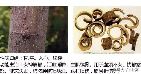 农村身边的中草药主治与功效,中草药全图谱与功效