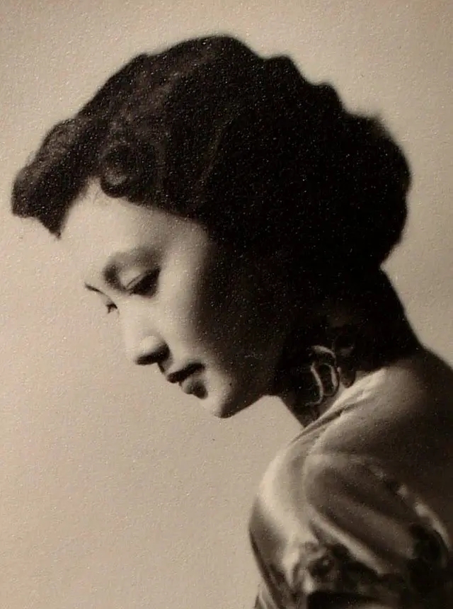 绝代佳人夏梦小说,绝代佳人夏梦简介