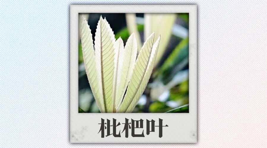 中医救人不救病怎么办呢,中医药救人