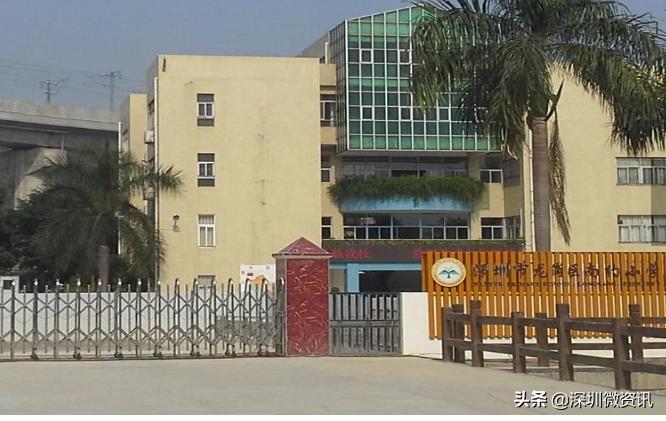 宝龙街道公办中小学,宝龙学校最新规划