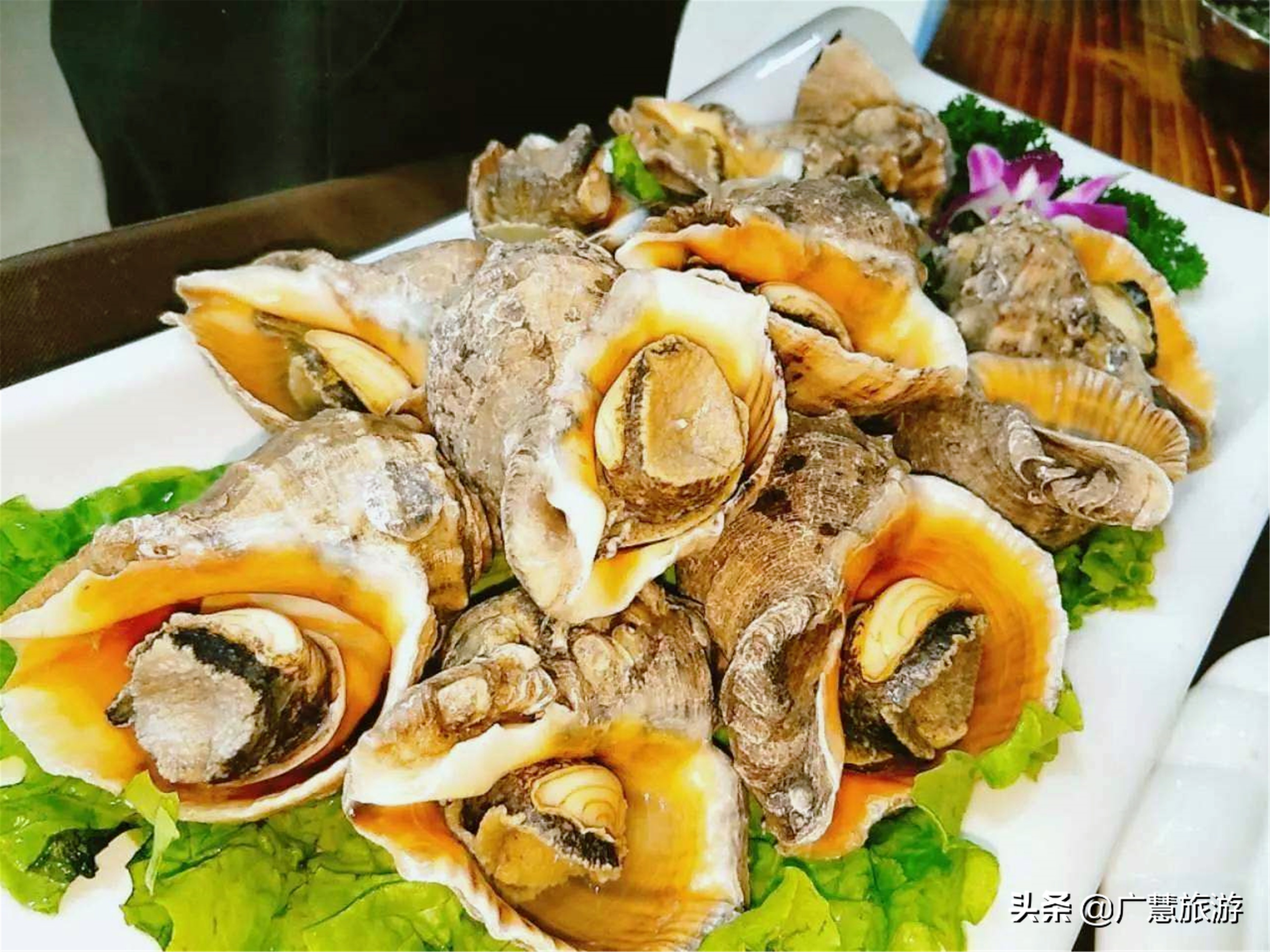 日照美食攻略住宿推荐,日照旅游酒店位置在哪里