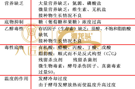 葡萄酒为什么不清澈,葡萄酒为什么不会坏