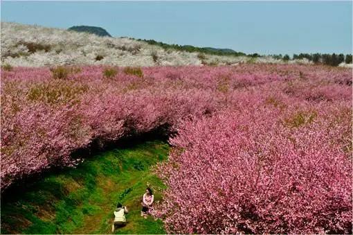 清镇市是不是比较落后,清镇最好的城市