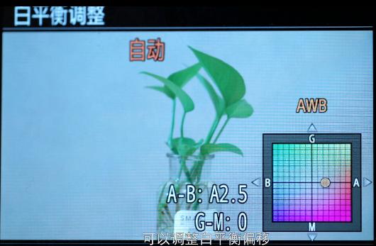 索尼微单nex5n参数,索尼微单创意风格人像参数