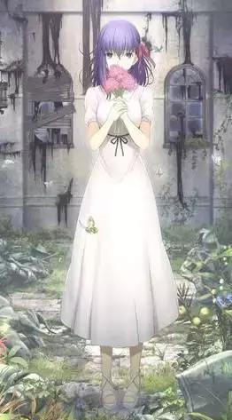 fate电影补番攻略 (fate新番12集免费观看)