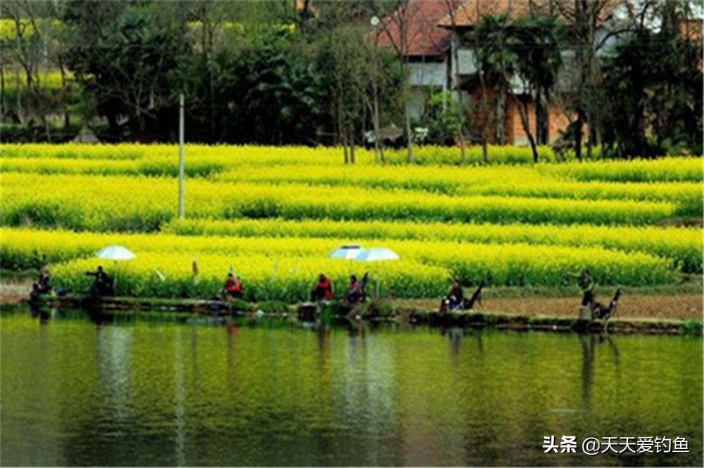 一年四季最好钓鱼的季节,一年四季钓鱼的地点