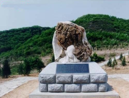 全国十大森林公园,中国十大森林公园