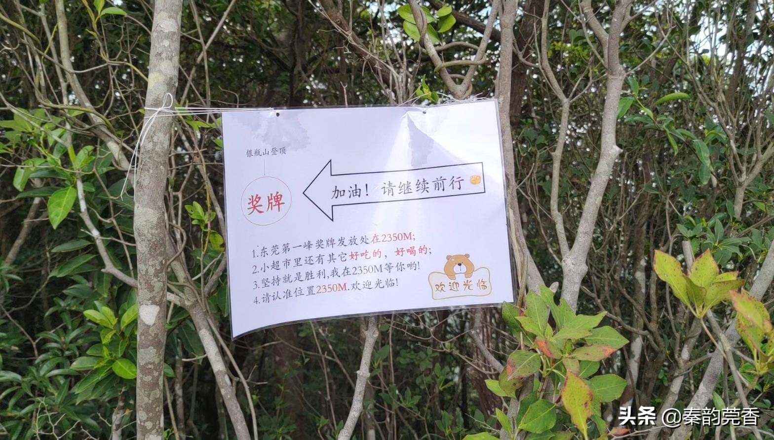 东莞银瓶山从哪个入口进入比较好,东莞第一高峰银瓶山爬上去要多久