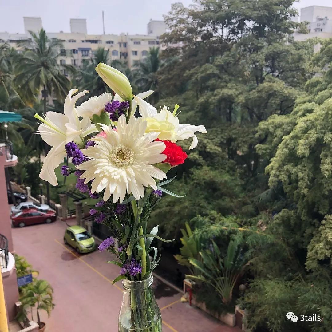 住在印度是什么样的体验,住在印度西北的阿富汗人