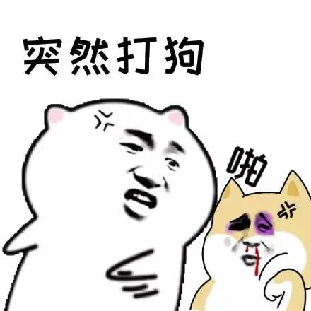 狗狗太胆小甚至怕主人,打了狗狗一次狗狗怕主人怎么办