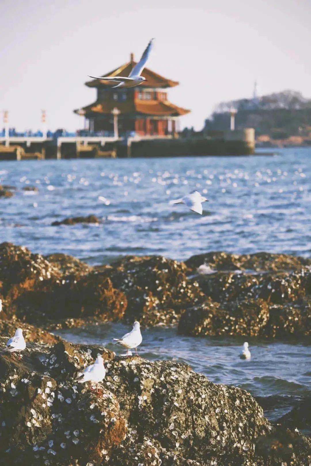 又一条最美自驾线路,又一条绝美进藏自驾公路