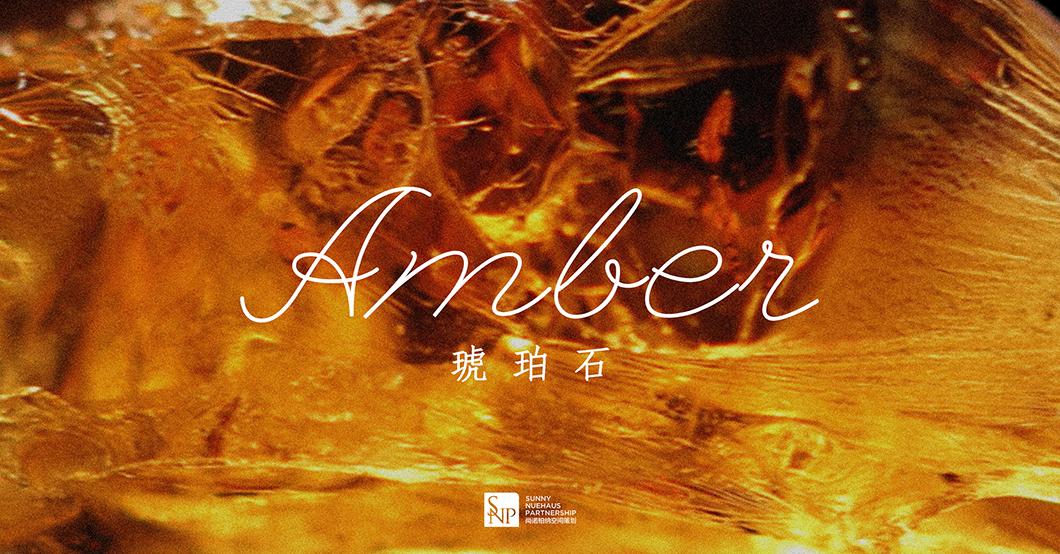 2020年/SNP年度别墅设计：绝色原石