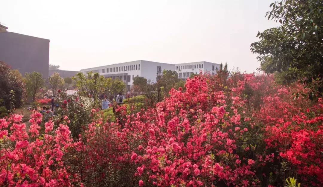 井冈山大学在井冈山上吗？19级萌新请听清——吉安火车站下车