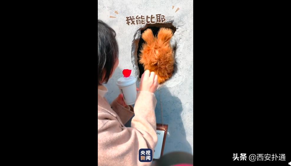 仅凭一个洞就爆火全网，这家熊爪咖啡西安也有了