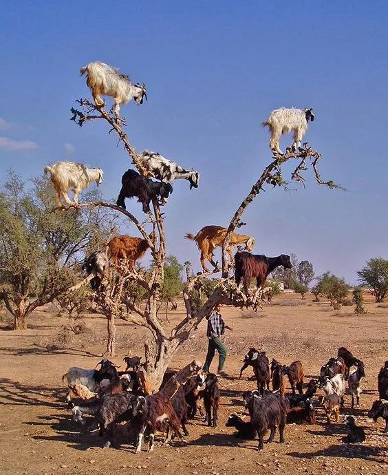 难得一见的照片,难得一见真实照片