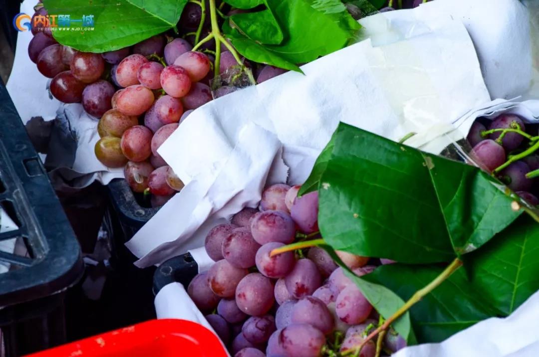 四川内江有哪些水果批发市场,内江最近的水果市场