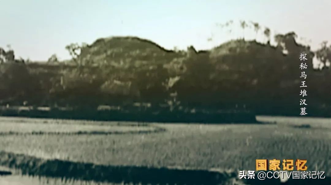 大揭秘马王堆汉墓女尸,揭秘马王堆汉墓女尸不腐之谜