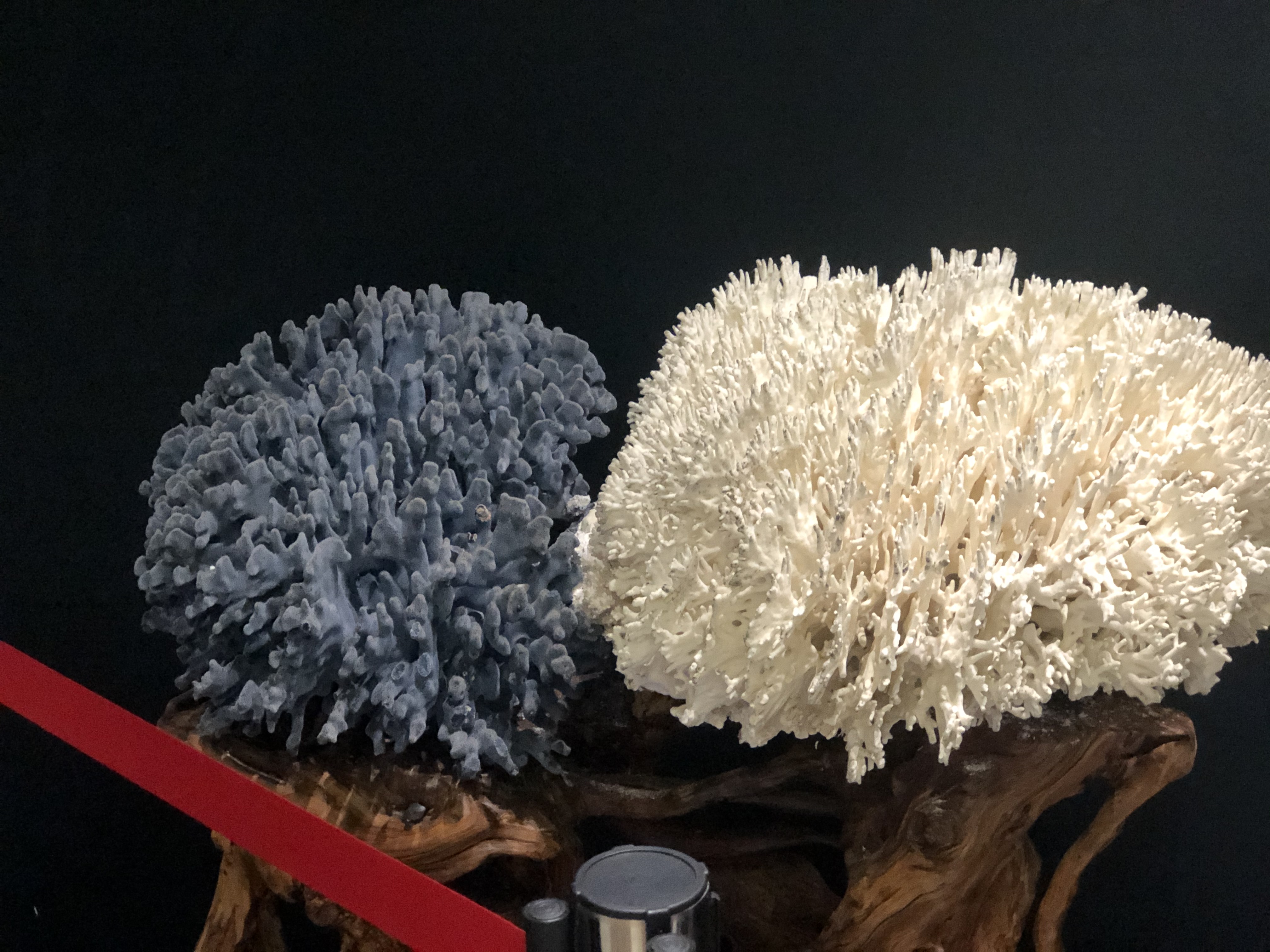 北海跟团游陷阱,低价北海旅游团套路