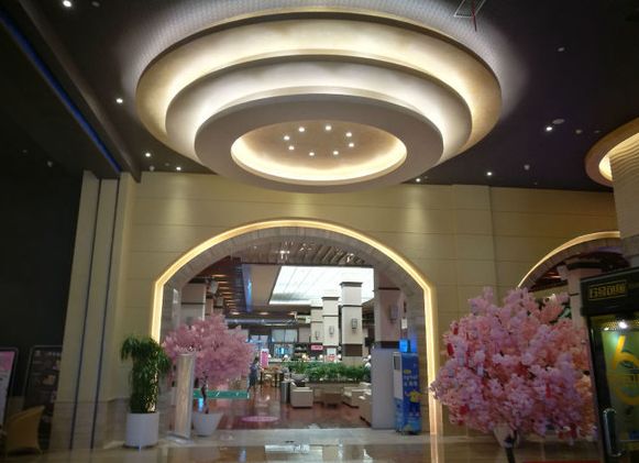 本想去魔都约个泡,没想到竟被搞大了肚子