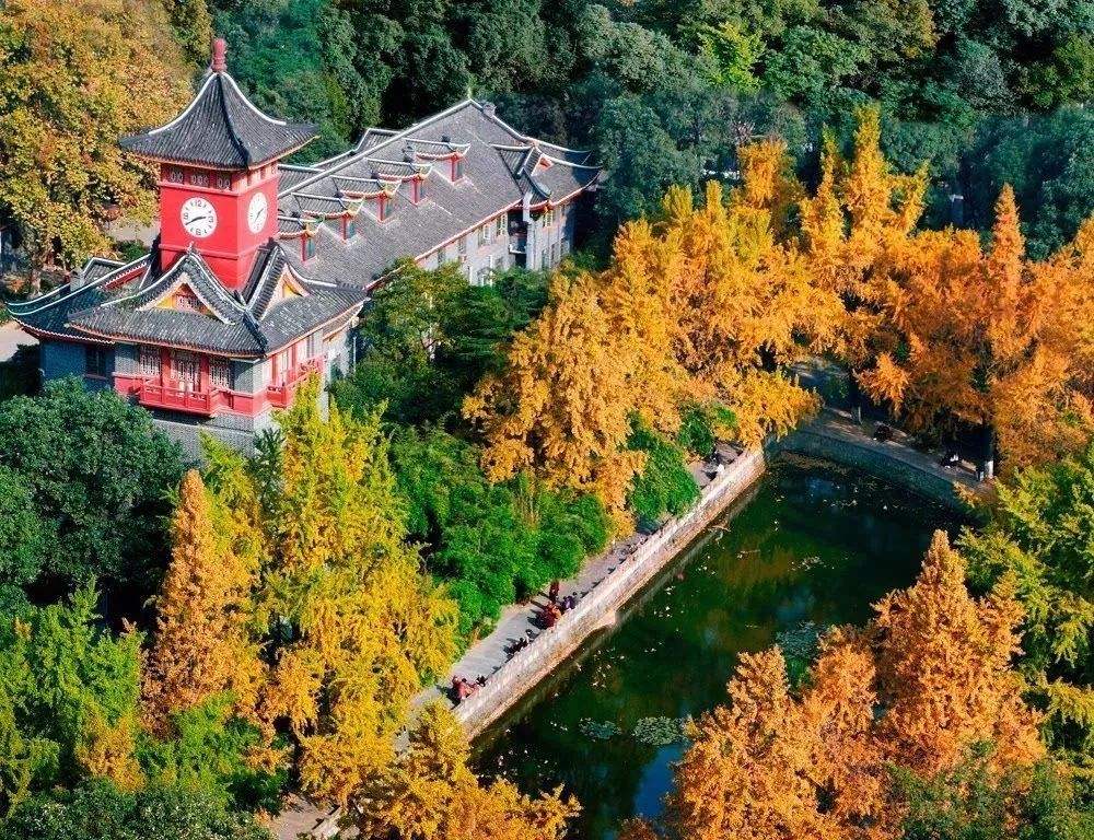 口腔医学985211有哪些,哪个985的口腔医学好