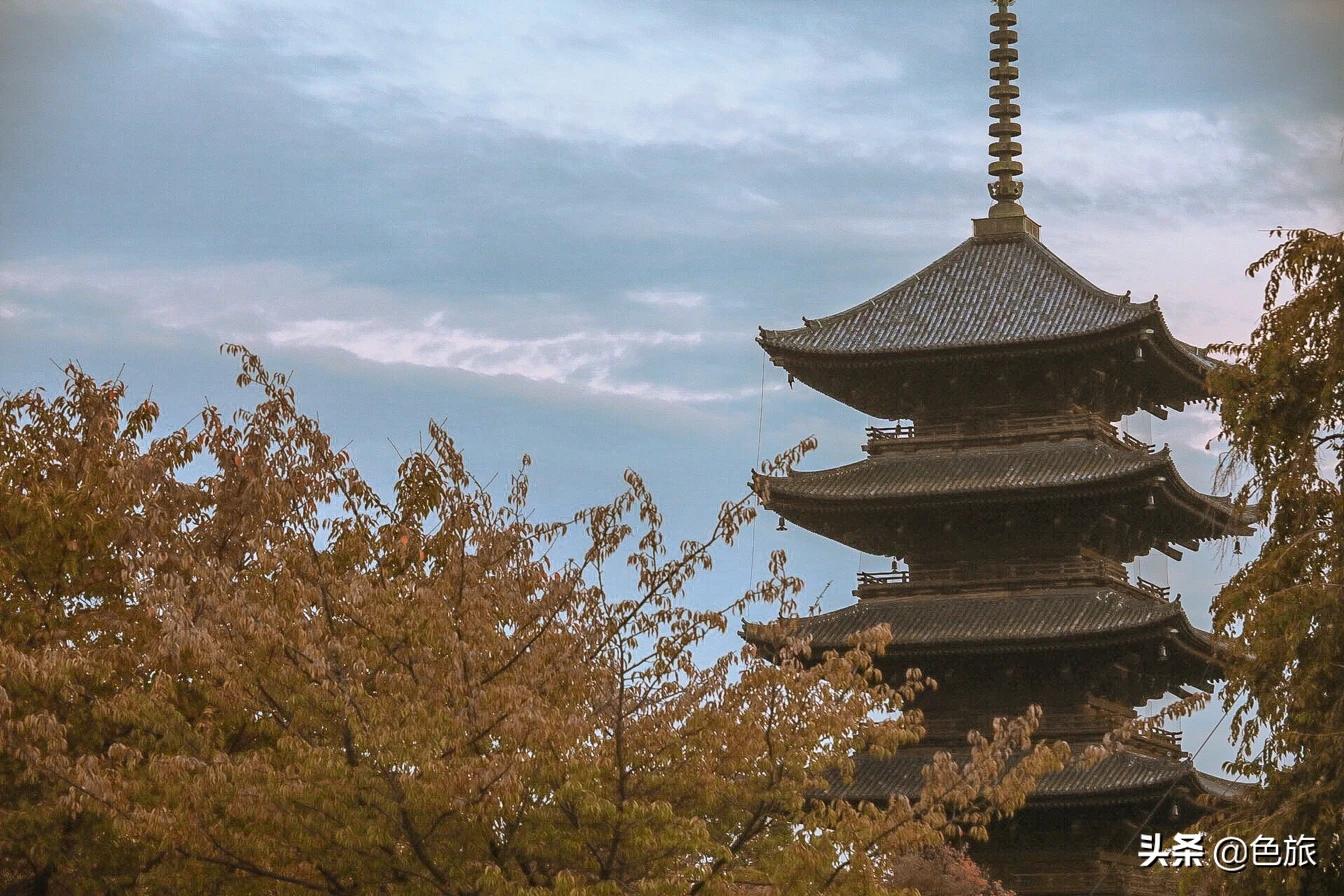 妖猫传日本访唐,妖猫传日本大师