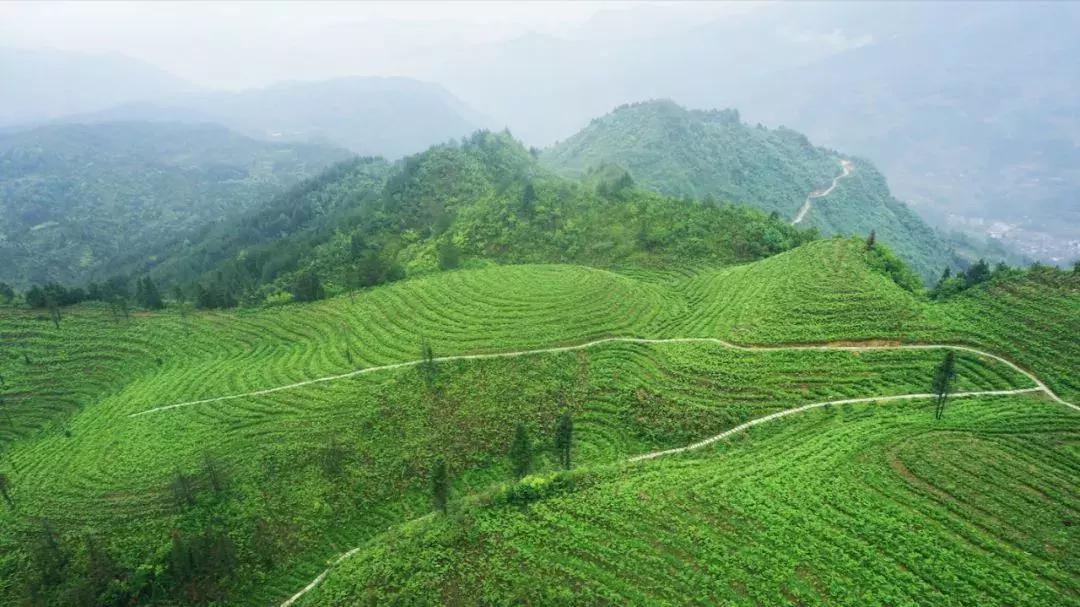 土家野夫作品集,土家野夫作品有声朗读