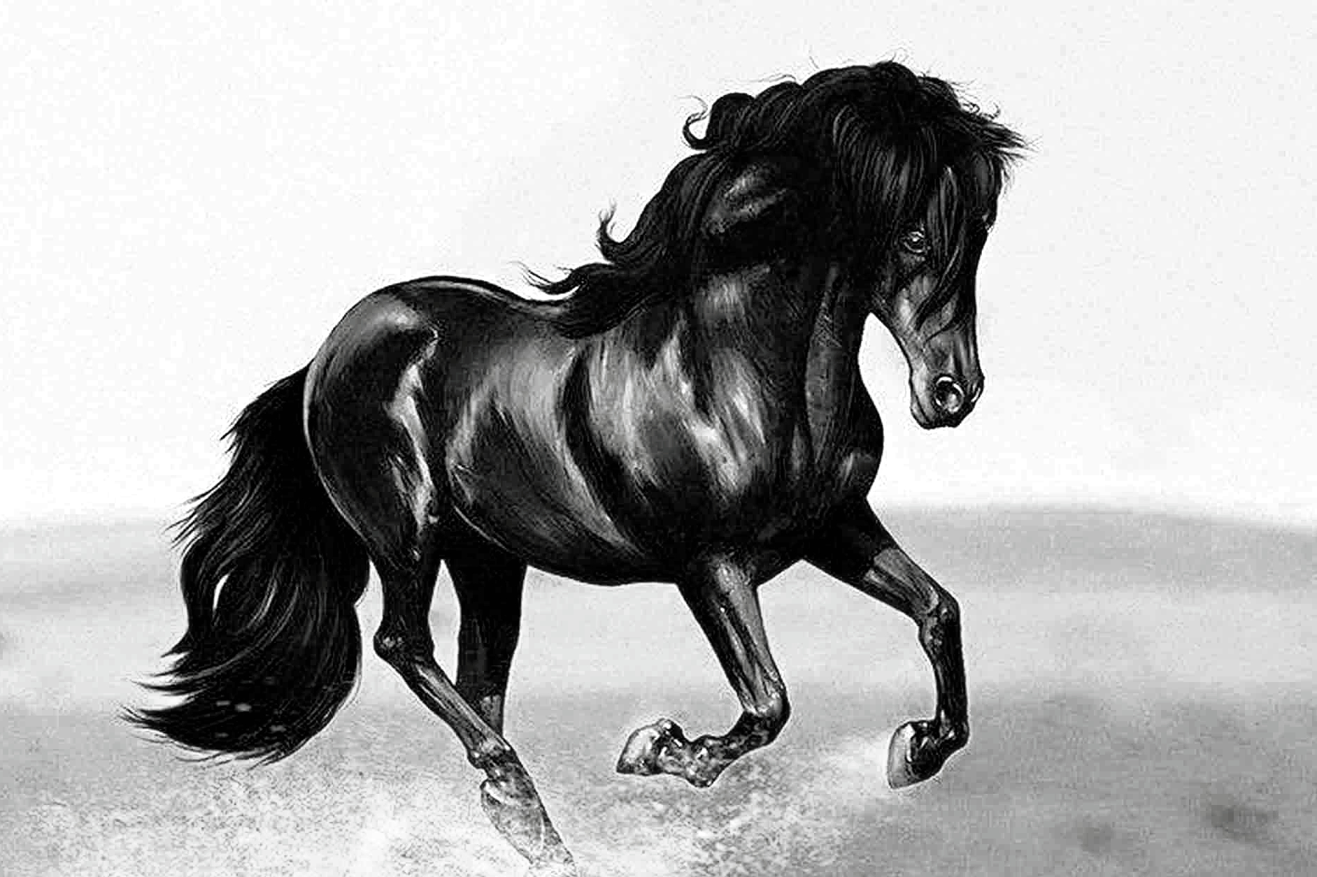 封神演义马忠大战哪吒,封神演义中十大神兽