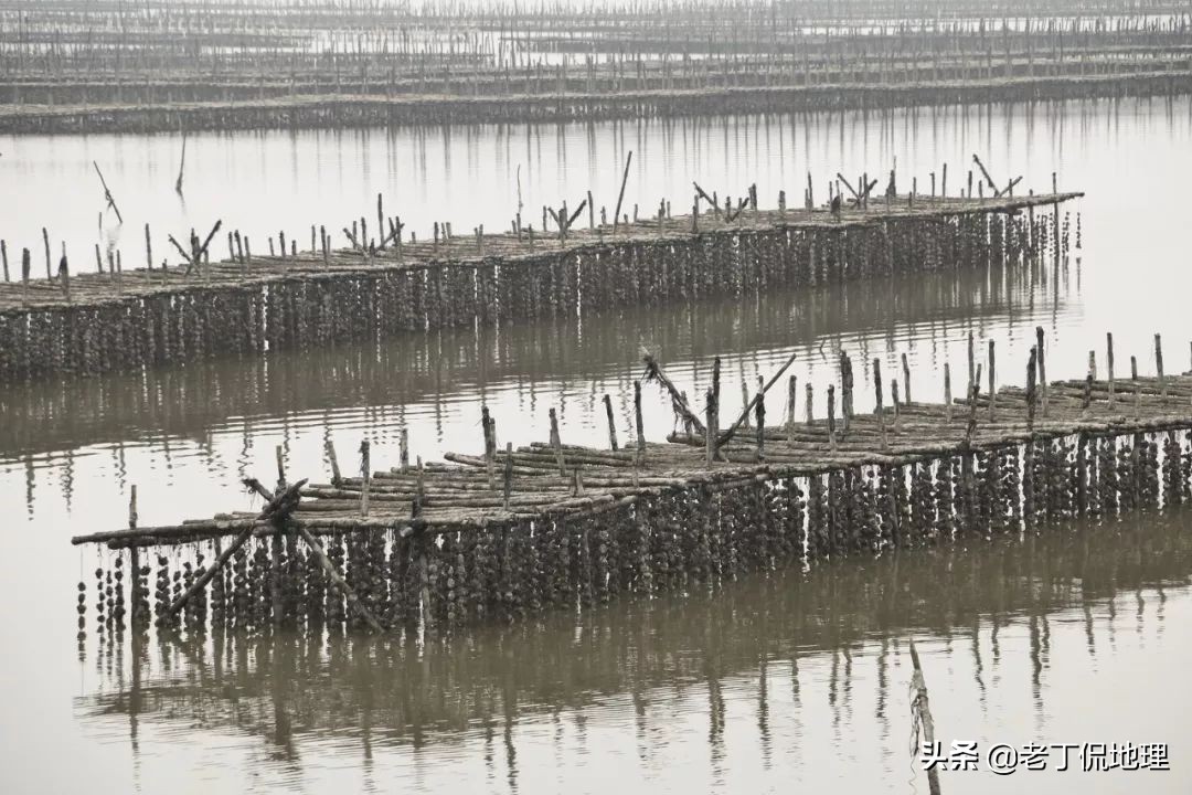 中国海鲜地图,中国海鲜最多地区