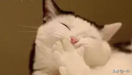 笑话视频笑得肚子痛,讲个笑话给孩子笑得肚子痛