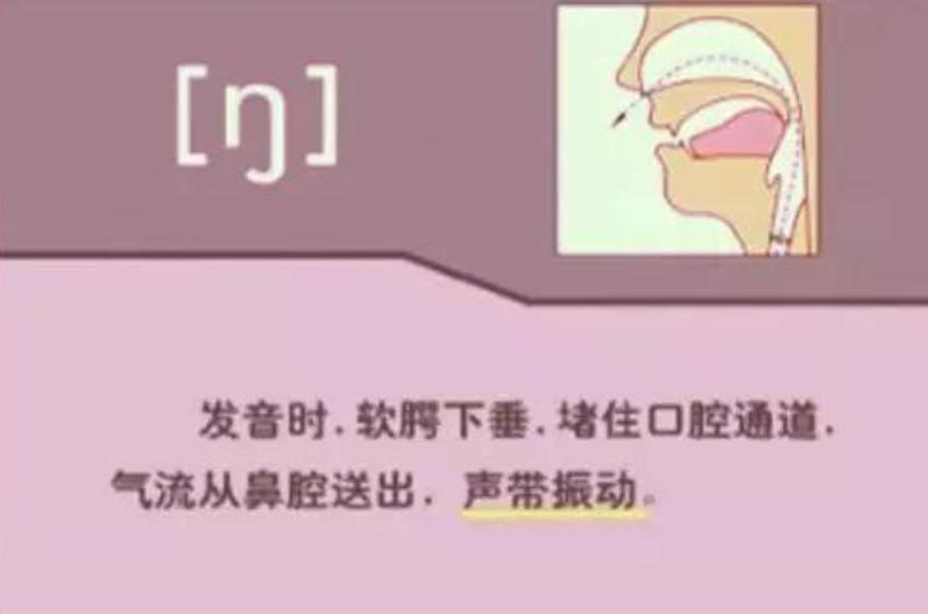 老外教音标和拼读,英语单词不会读学音标好使么